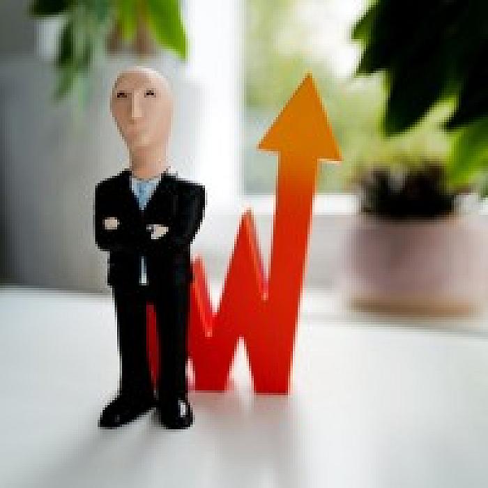 Sole Trader or Limited Company: Making the Right Choice for Your Business Success